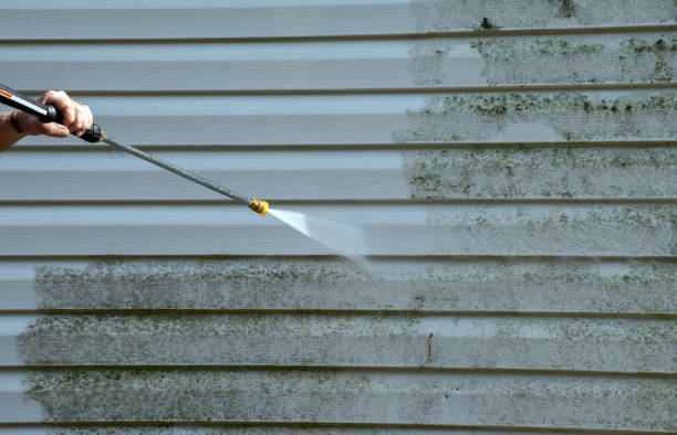 Best Pressure Washing Driveway  in Tutwiler, MS