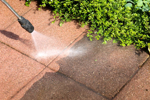 Best Pressure Washing Company Near Me  in Tutwiler, MS
